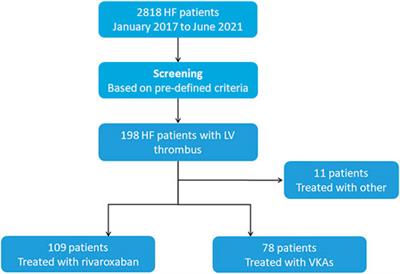 Rivaroxaban in heart failure patients with left ventricular thrombus: A retrospective study